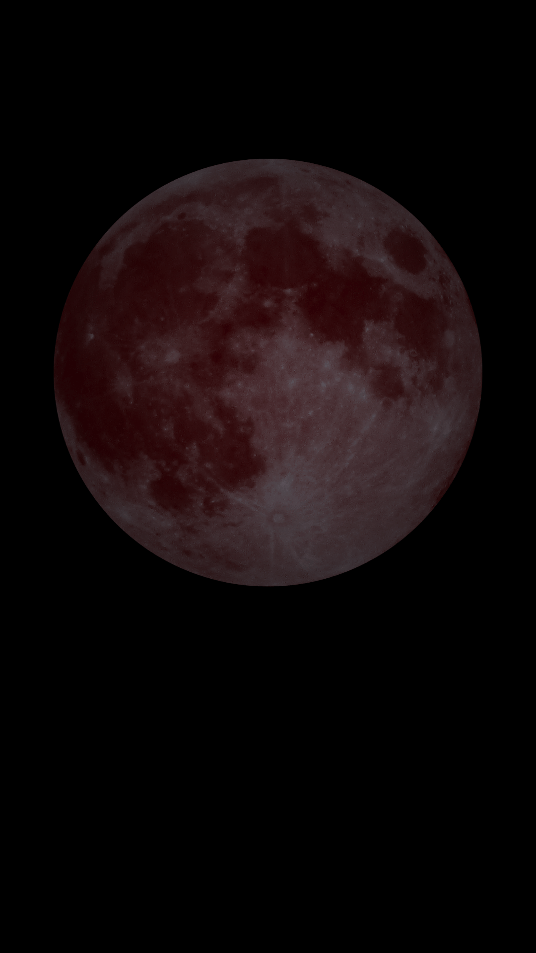 Still of the Night