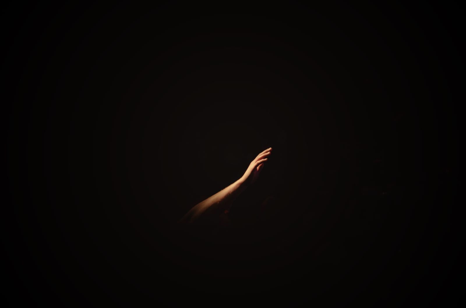 The Hollow Kind