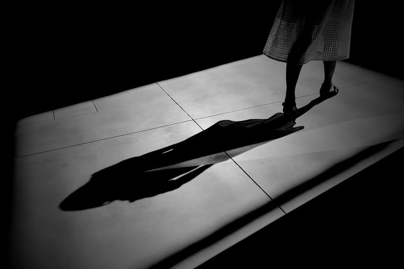 The Shadow Thief